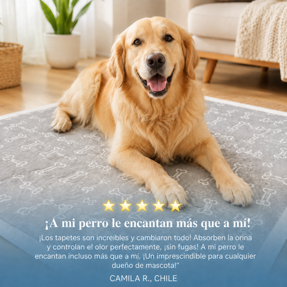 Pawlio Tapete de entrenamiento